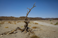 04-Day-Three-Day-Three-Nahal-Atak-Near-Beer-Ora