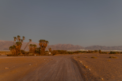 03-Day-Three-Evrona-Nature-Reserve-Sunset