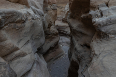 03-Round-South-Israel-New-Years-day-2025-Day-Two-Morning