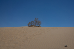 20-Samar-Sands