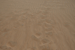 22-Samar-Sands
