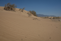 24-Samar-Sands