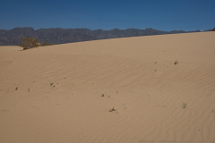 25-Samar-Sands