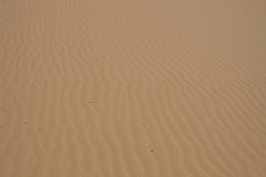 27-Samar-Sands