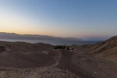 IMG_0012